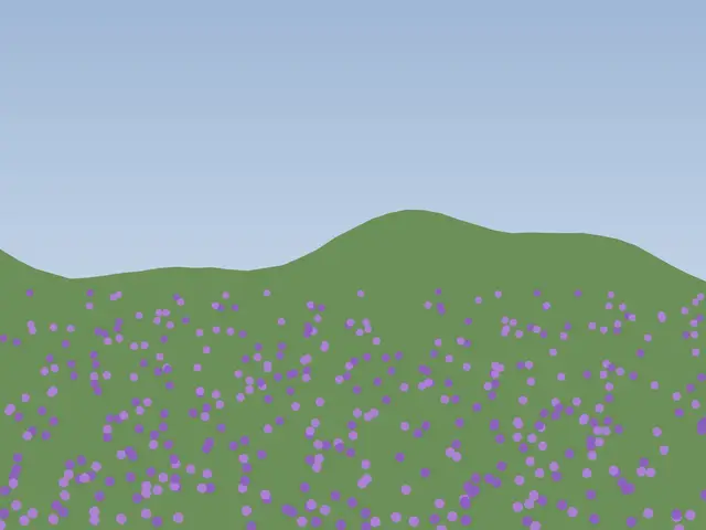 Purple wildflowers carpeting the plateau