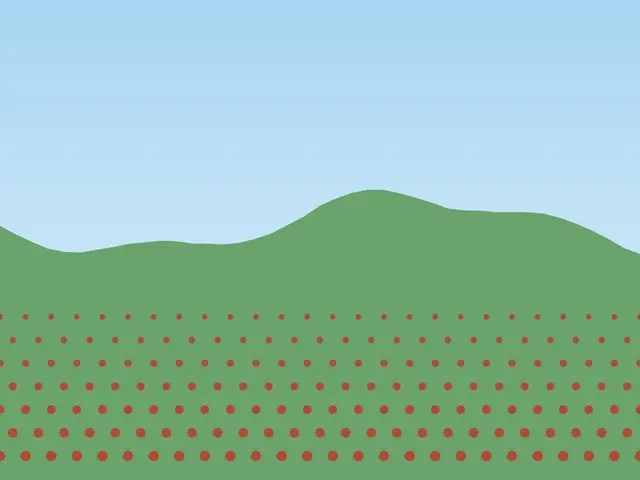 Strawberry farms on the road in